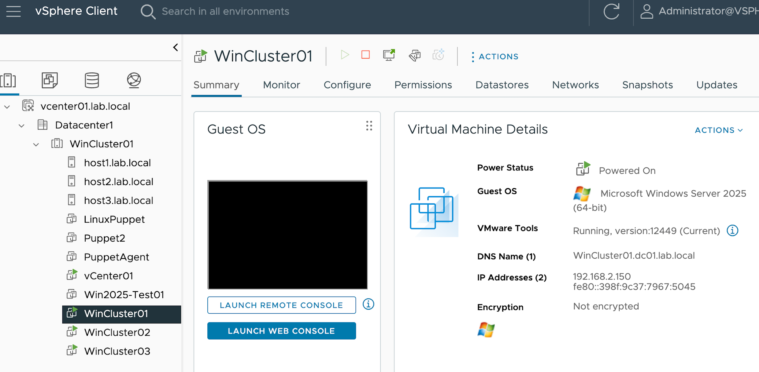 VMware vSphere Client showing WinCluster01 virtual machine summary